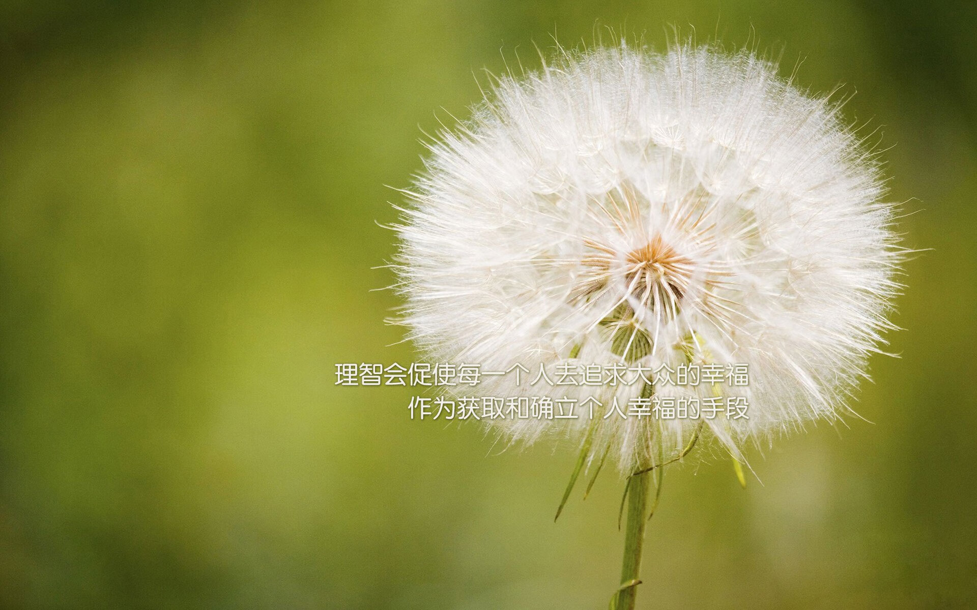 _凯尔特人稳步领跑,士气高昂冲击冠军_,凯尔特人2022