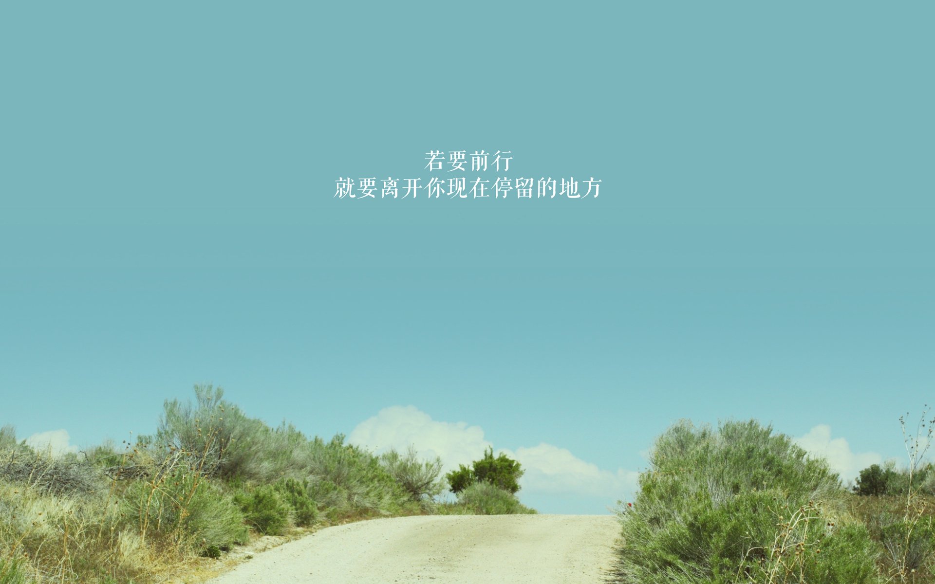 _勇士队阵容齐整,势如破竹_,勇士队阵容名单最新新人