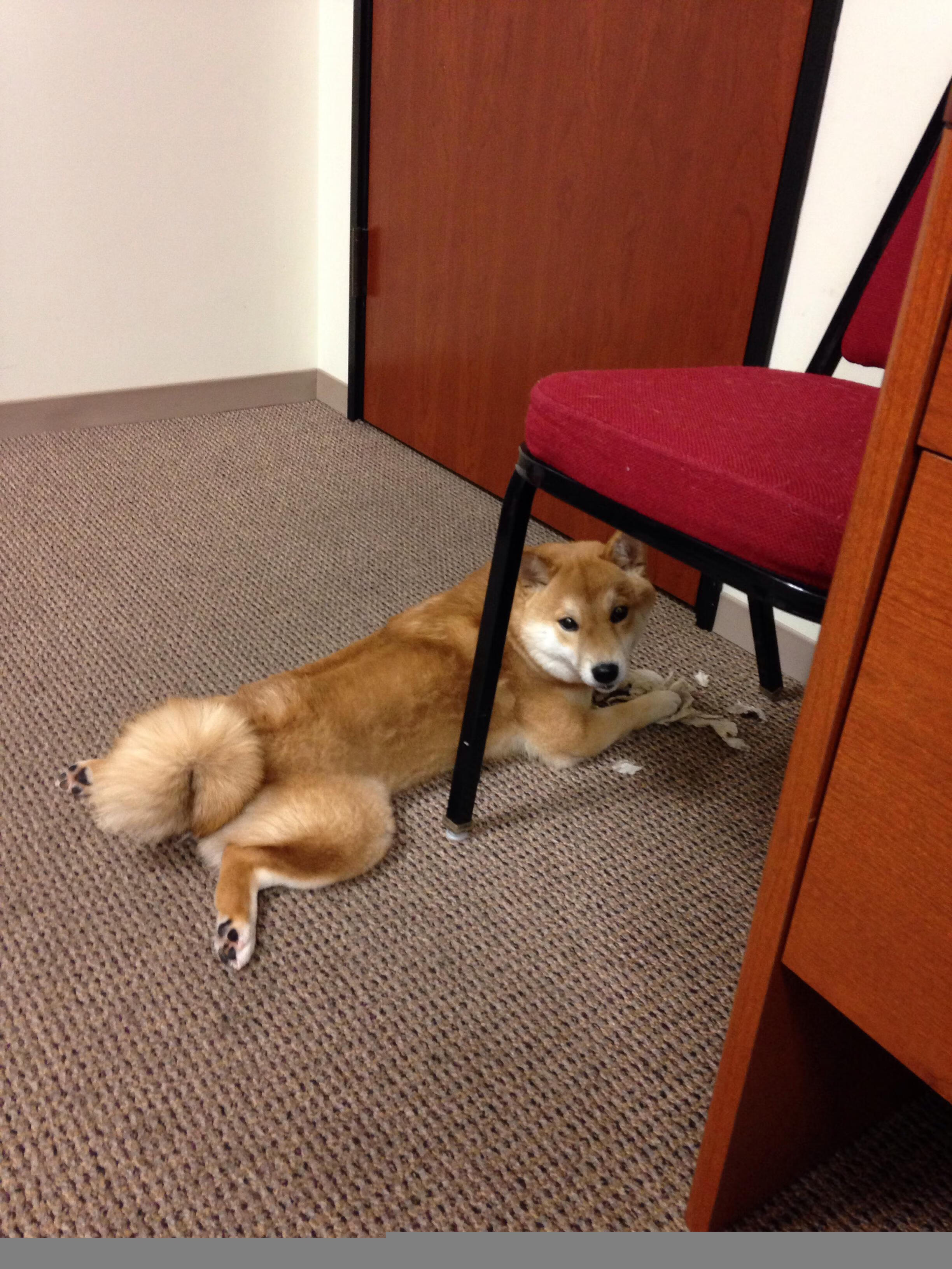 _城市河道漂流：水上探险新体验_，城市河道能划船吗