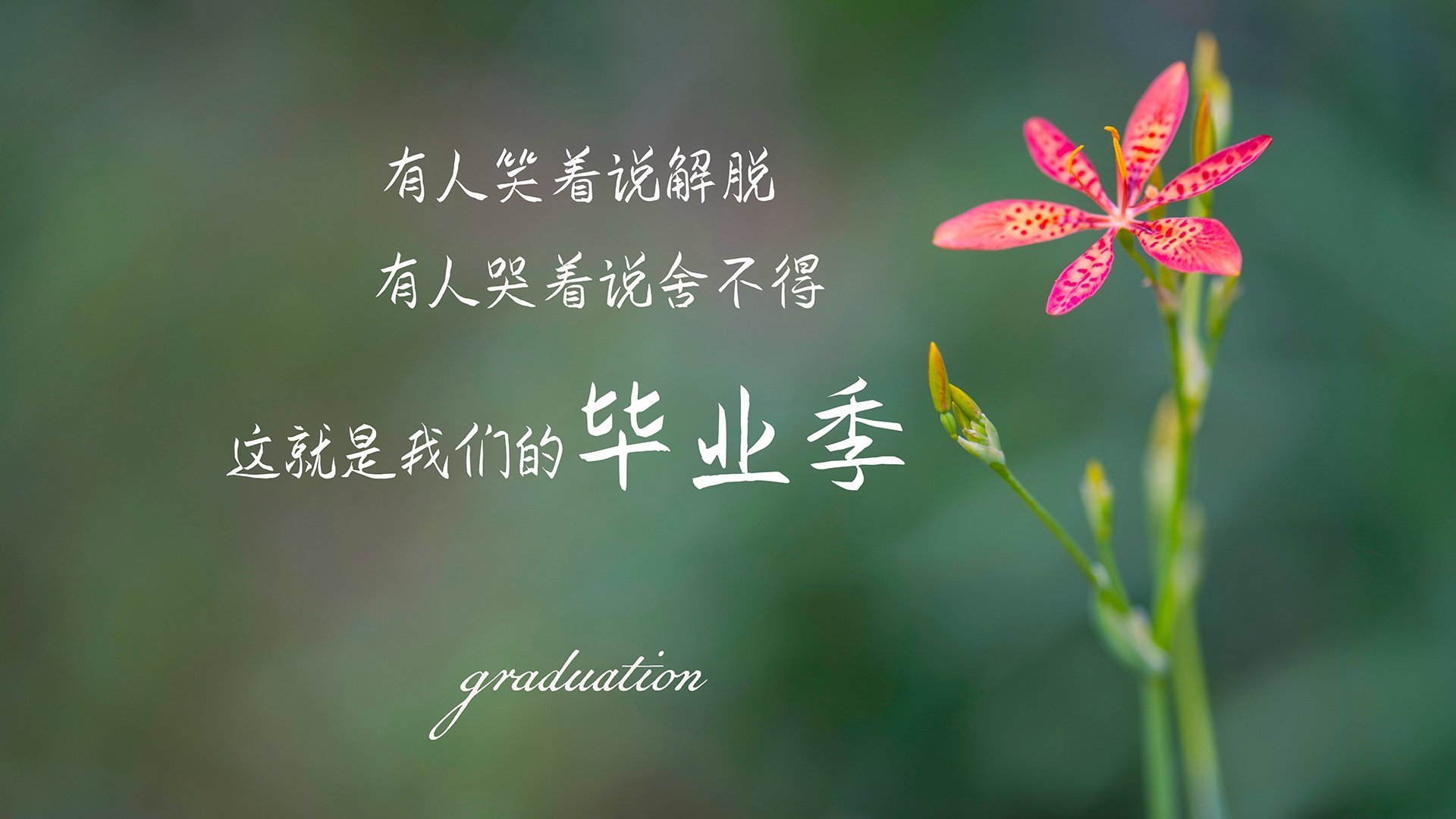 JiuyouAPP下载-_极限尔湾：跨界运动新品类引发关注_，极限lc