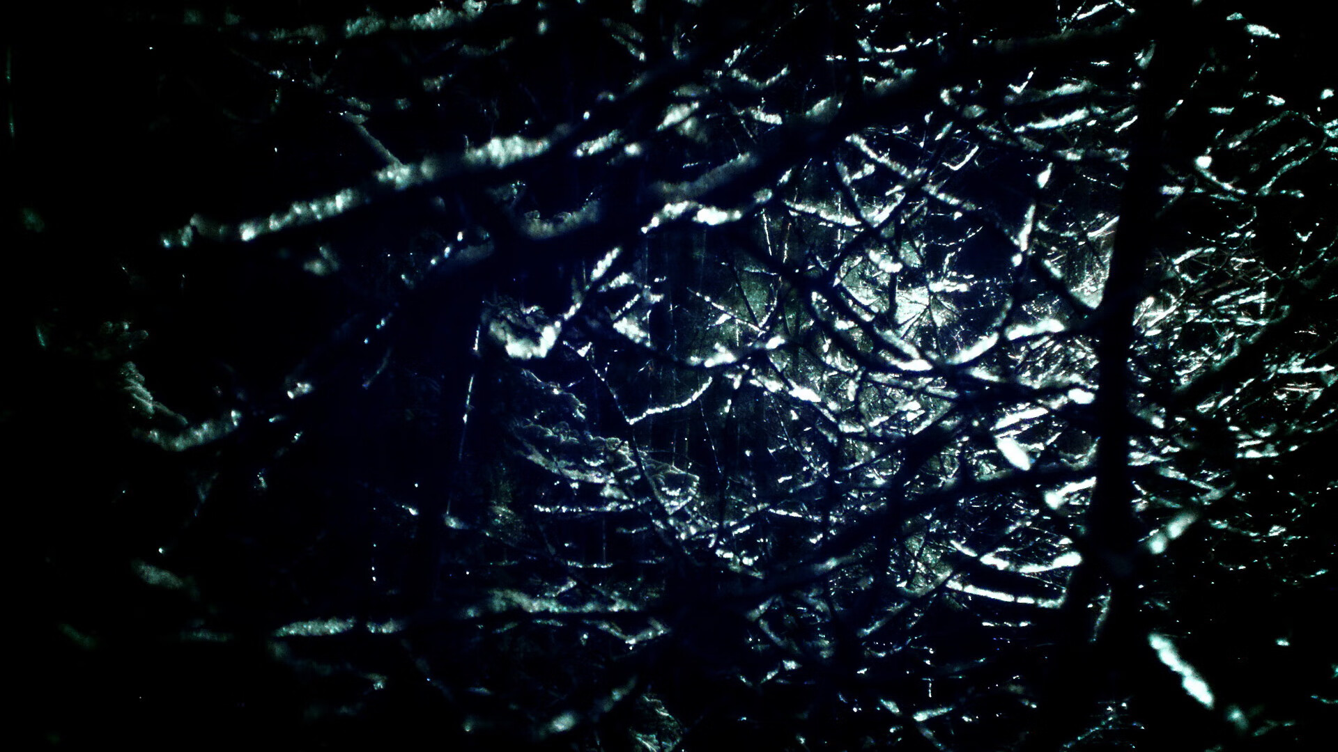 九游网页版入口-“未来之星：年度潜力新秀全方位盘点”，未来之星是谁