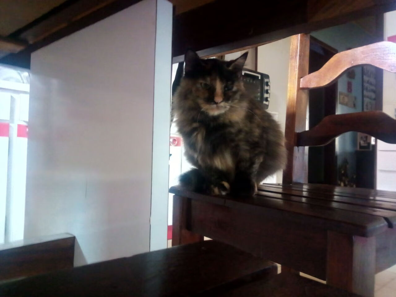 “青少年足球训练营开营，梦想从这里起跑”，青少年足球训练营文化节手抄报