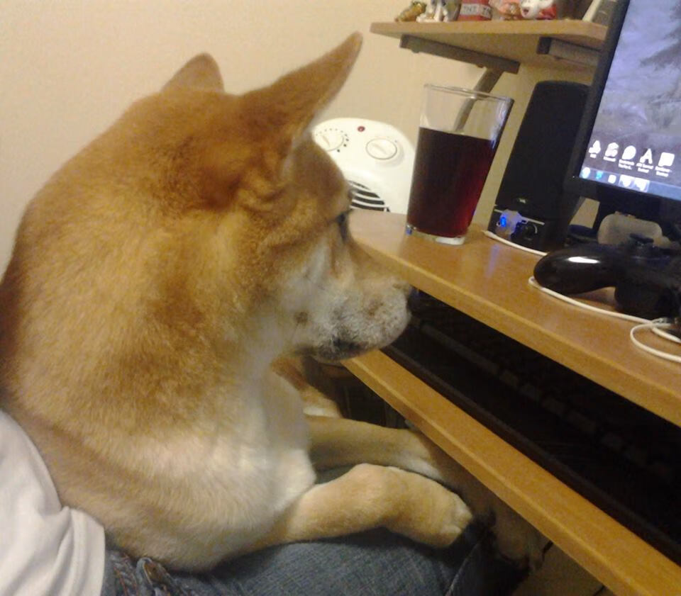 九游游戏中心官网-“速度之巅”——年度最激烈的WRC冠军争夺战，wrc冠军排行