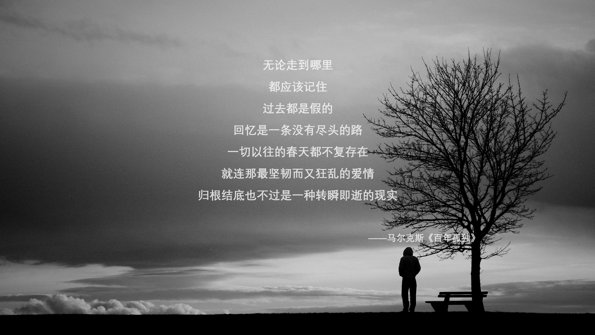 九游官网下载电脑版-《Faker：超级老将的坚持与荣耀，开启新赛季新征程》，faker大师