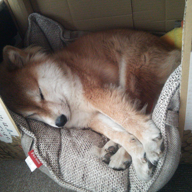 九游官网pc-【训练秘籍】奥沙利文如何通过细节提升攻守转换速度，奥沙利文最强