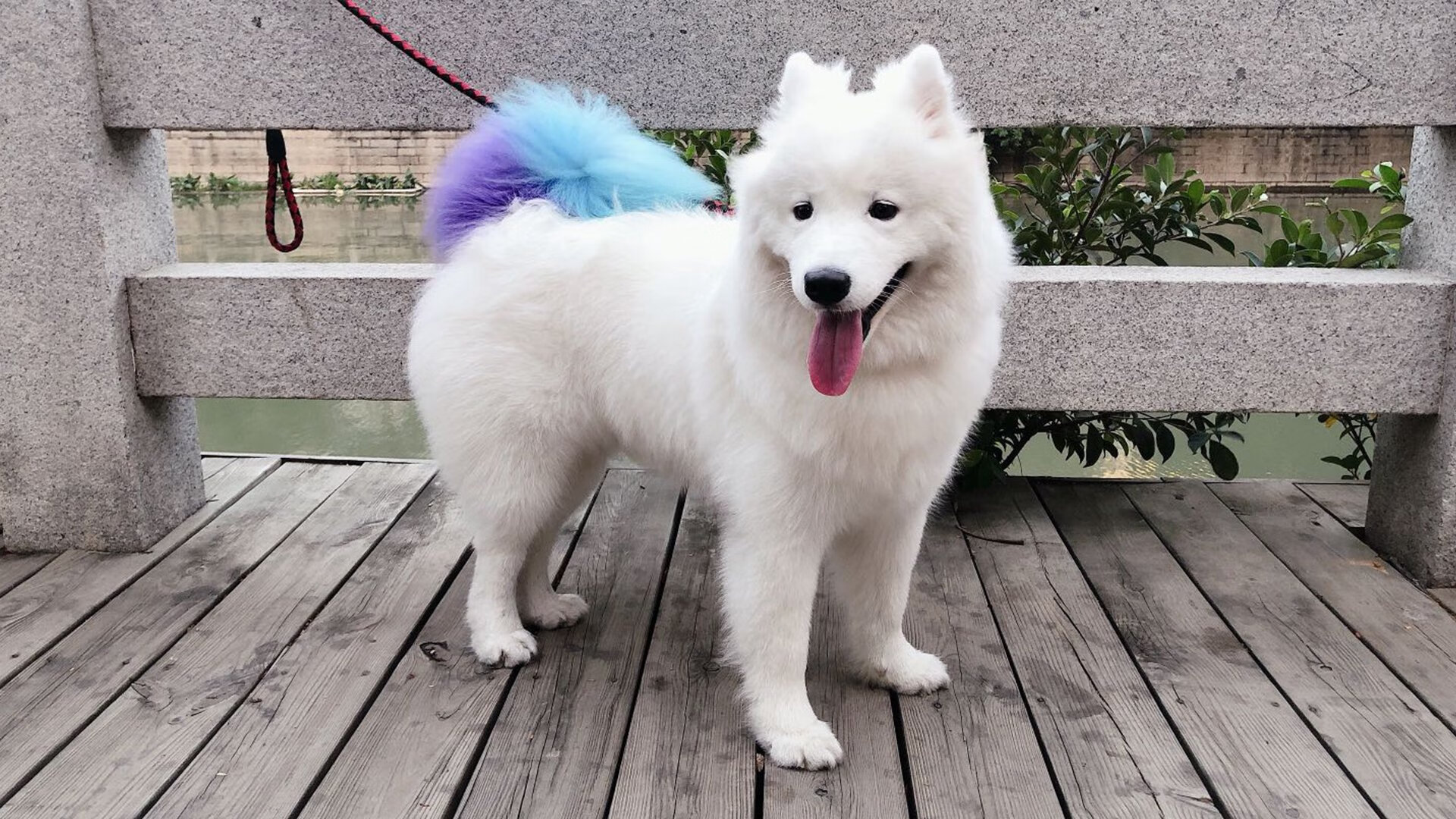 意甲球队集中引援，增强整体实力以冲击欧洲赛场，意甲投入