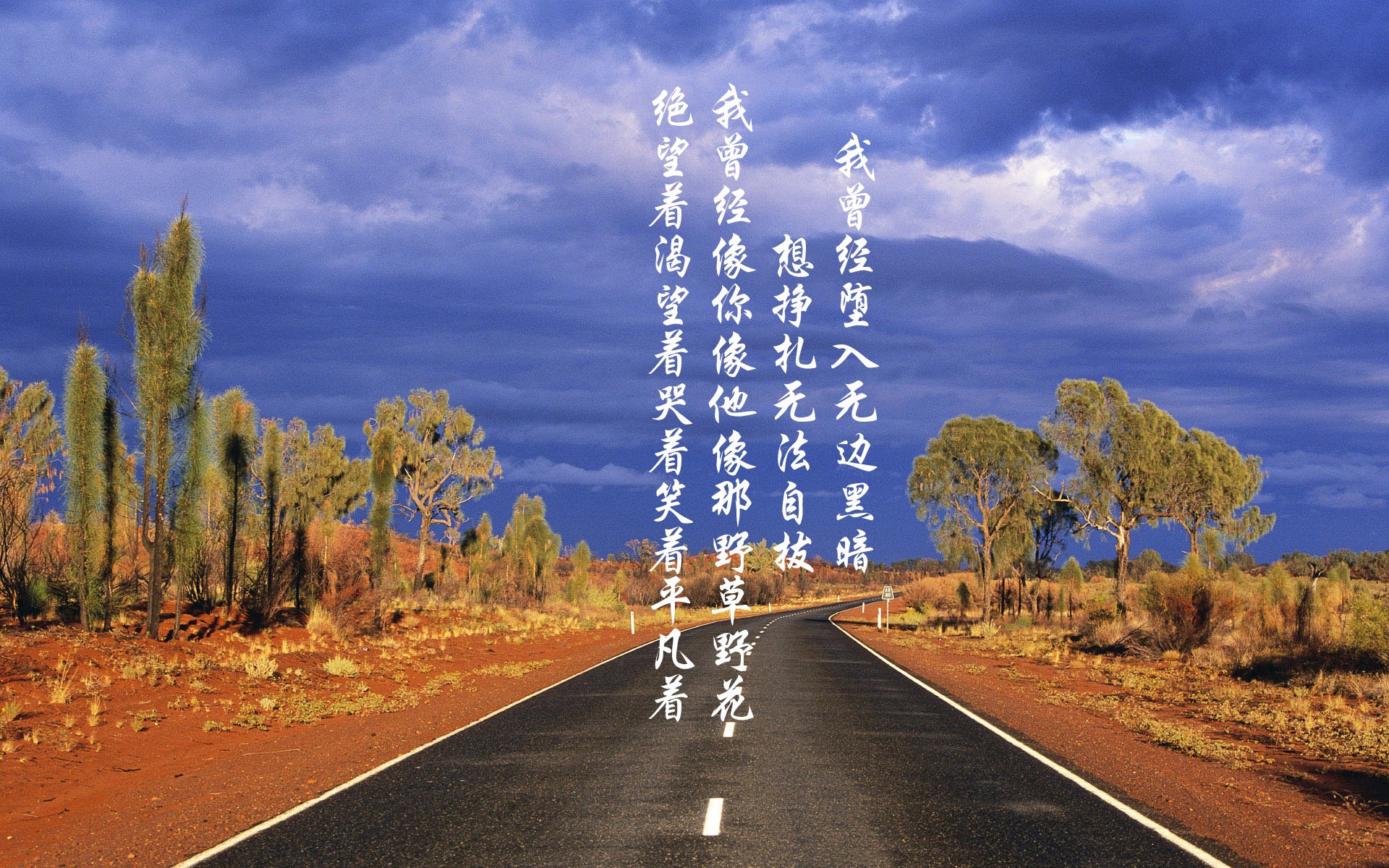 星空下的高空飞架，极限运动的新视觉体验，高空飞行