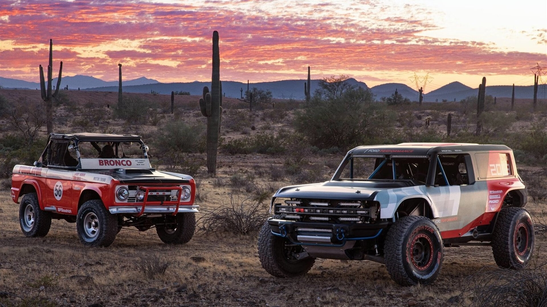 Jiuyou-未来“足球巨星”的黄金起点——欧冠养成记，欧冠足球冠军