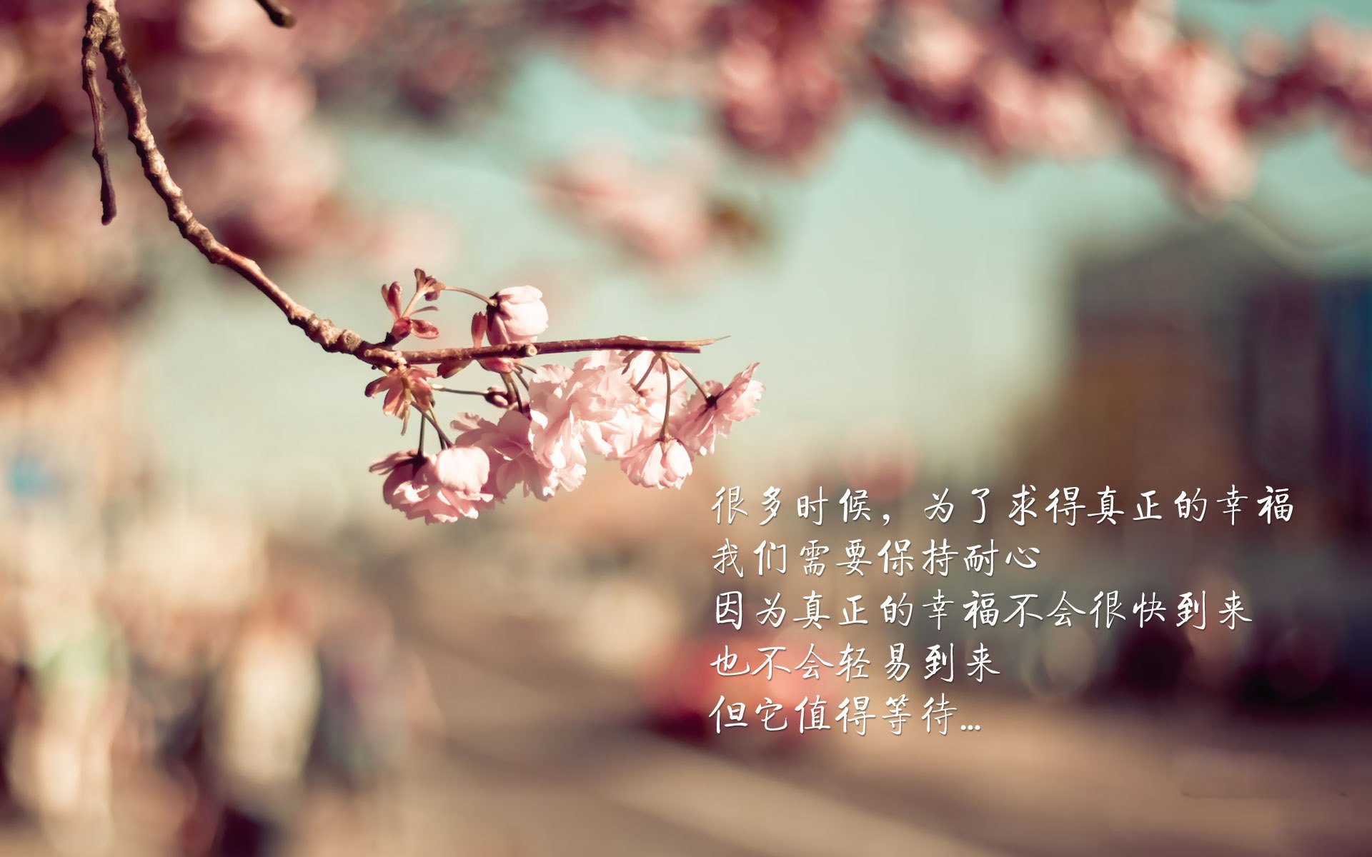 篮球训练营引进专业体能测试设备，体育篮球测试