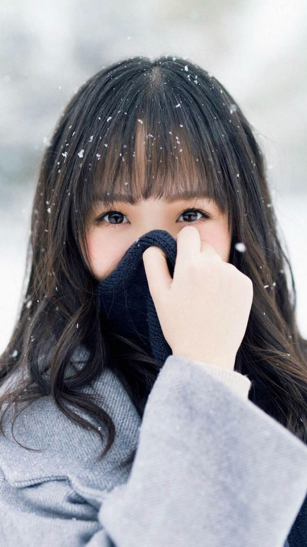 阿根廷青少年骑手在美洲青少年马术锦标赛中表现出色，获得多项奖项。