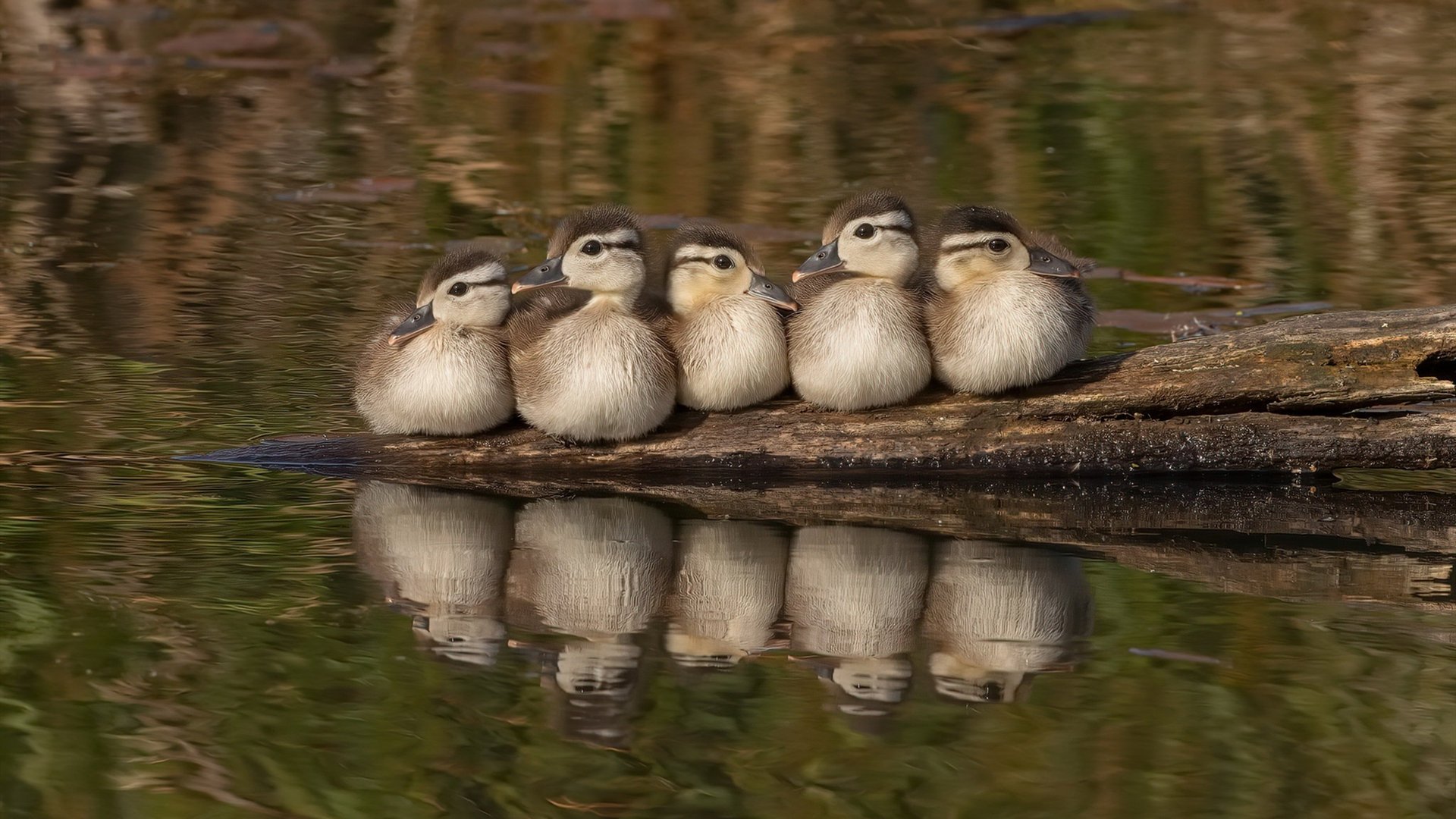 青训“专业+创新”双引擎在行业中持续发酵，行业生态不断优化