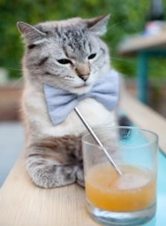 哥伦比亚女足在巴黎奥运会比赛中以3-0战胜美国，奥运会哥伦比亚女射手