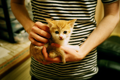 普拉提课程在企业员工健康管理中应用广泛,普拉提培训的课程介绍