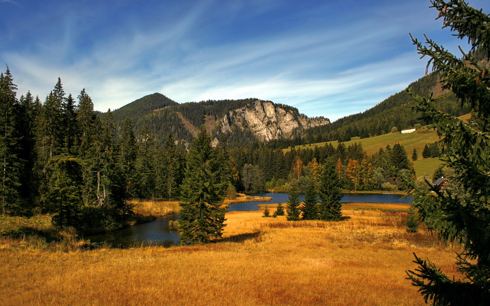 谢菲联客场龙门得分,将主场带回三分,谢菲联对莱切城直播