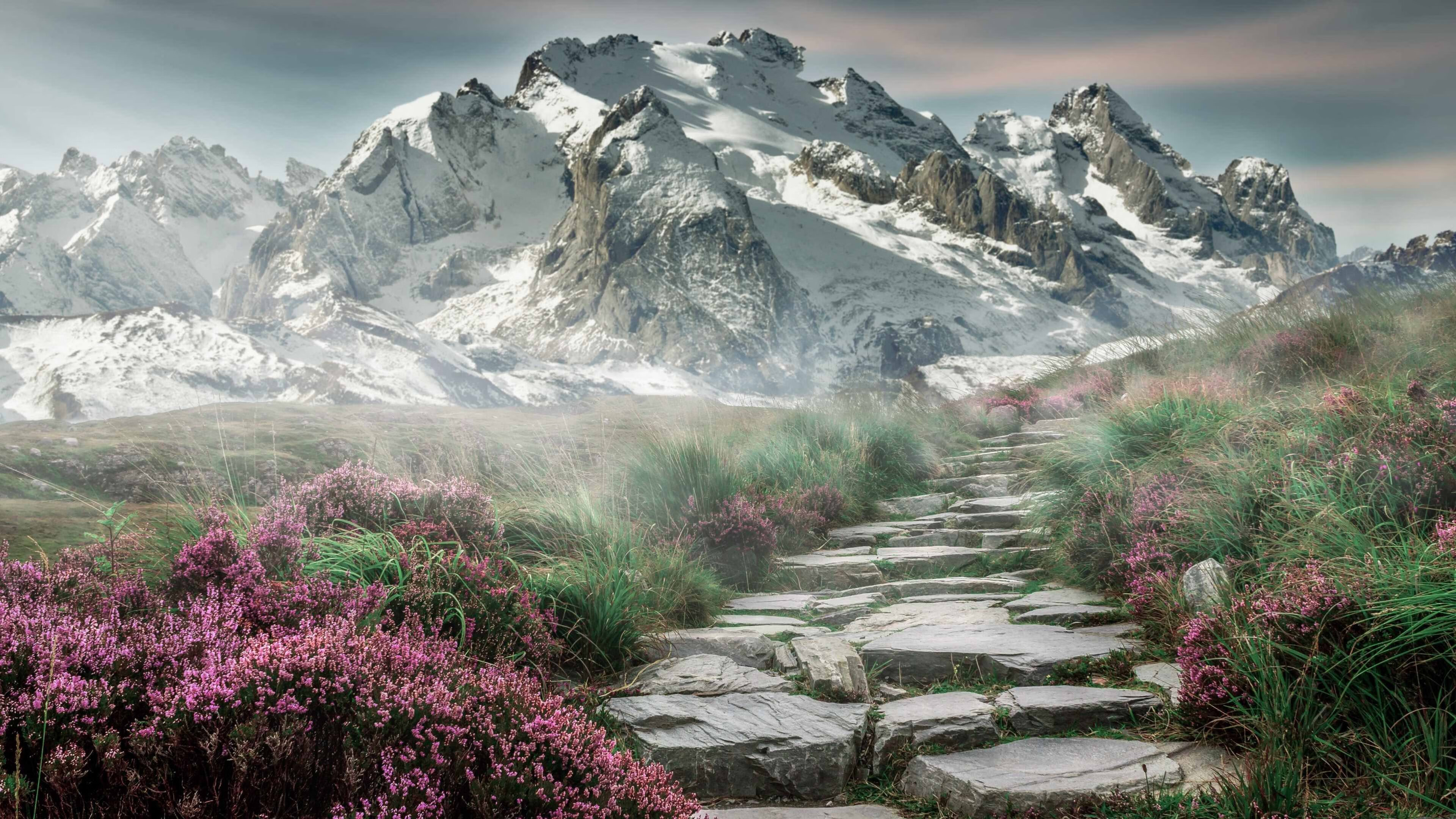 法甲球队利用比赛中情绪曲线图调整进攻节奏策略