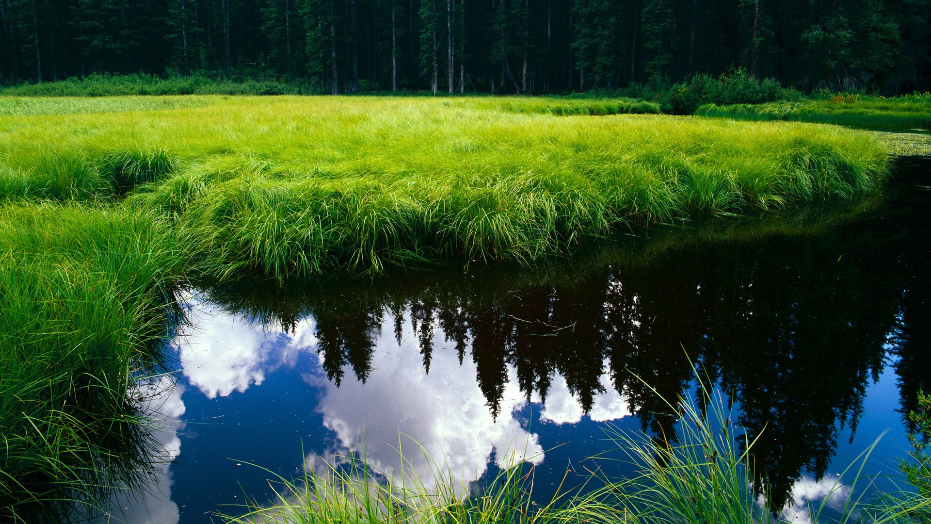 法甲青训体系中引入HRV监测提升体能恢复效率，法甲青训排名