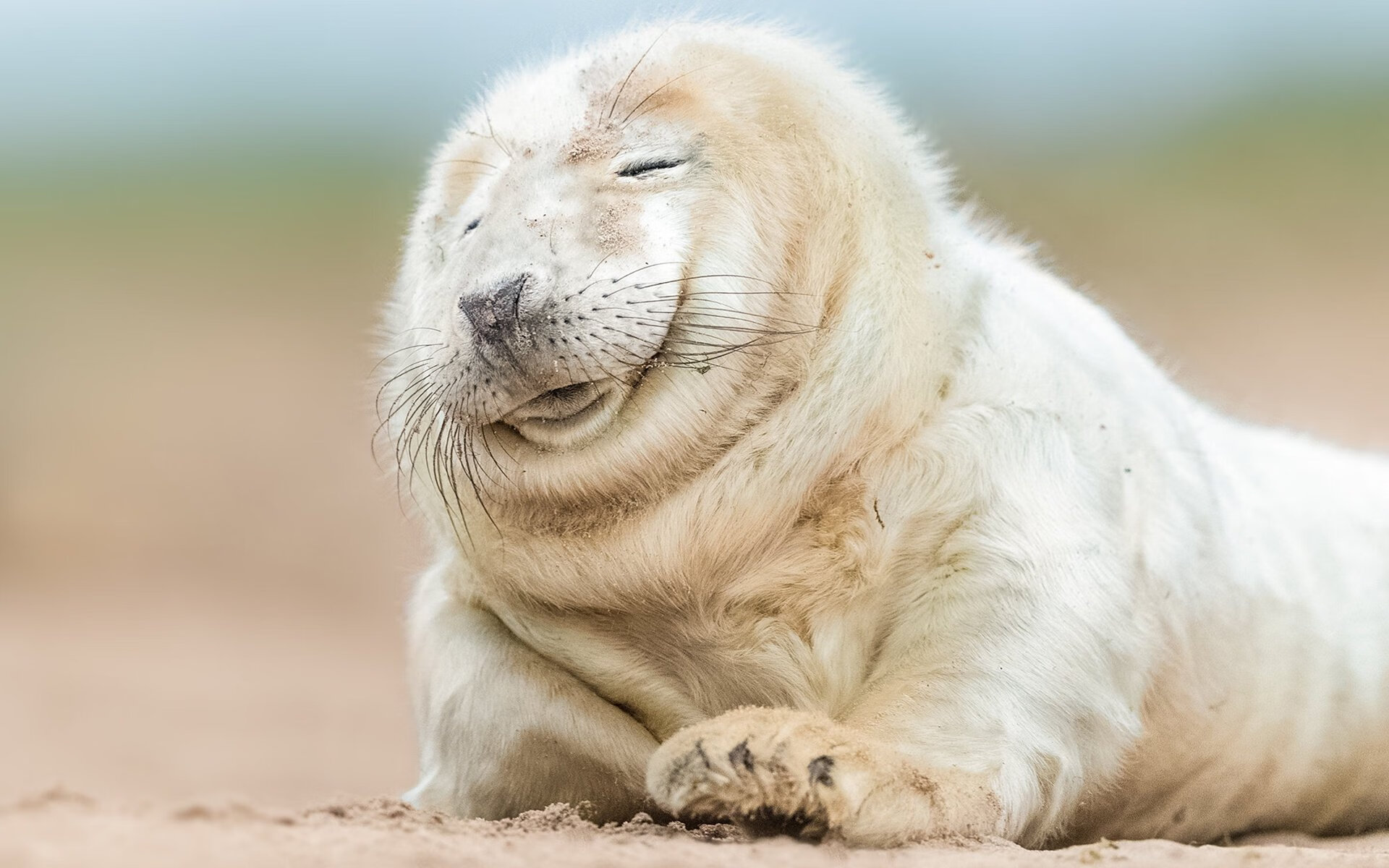 九游网页版官网-“高新区全民健身馆：短柄墙球赛场，一拍定胜负，脑力与技巧谁更强？”