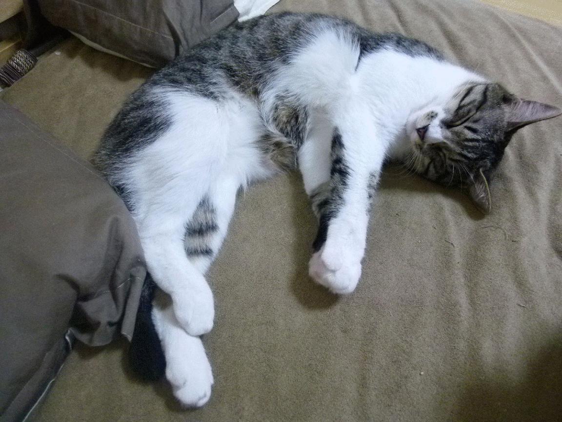 东亚杯中国女足战平 球员心理素质受到考验,东亚女足中国对韩国