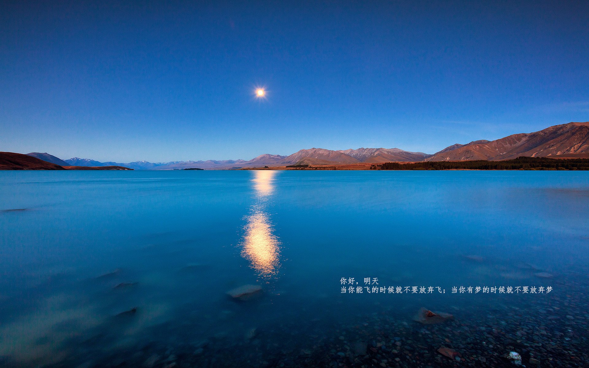 九游官网主页-女子仰泳夺铜 实现奖牌突破，女子100米仰泳中国队包揽金银铜
