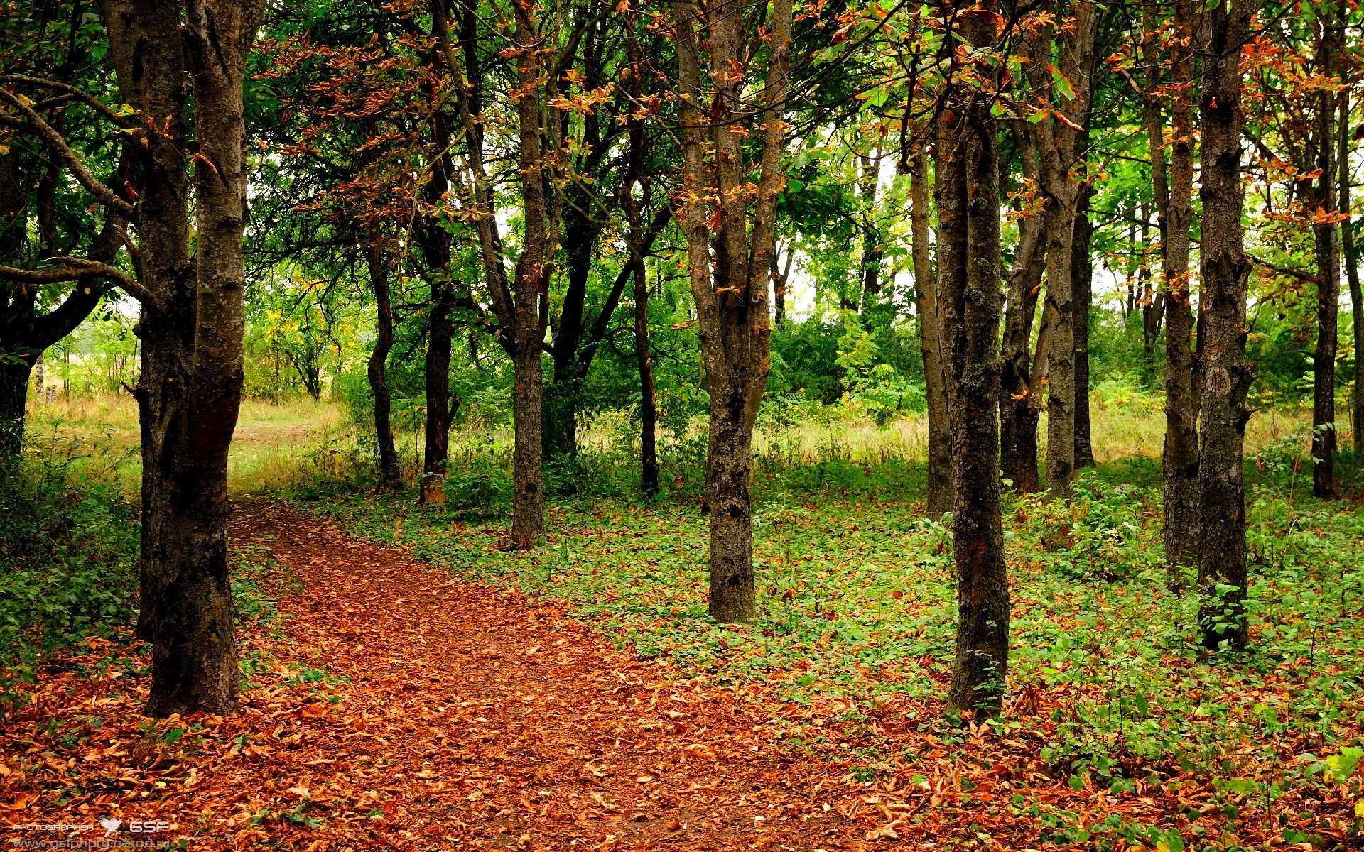 橄榄球科研项目落地多所大学,橄榄球最厉害的大学