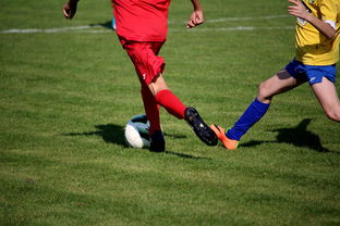 九游官网-拳击国家队备战亚运 实施精英训练计划，拳击亚军奖杯照片